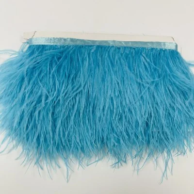 Žydra stručio plunksnų...