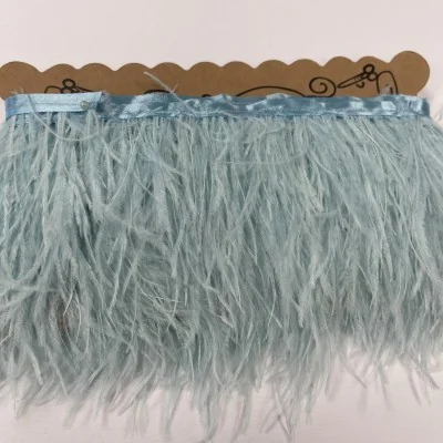 Dangaus žydra stručio...