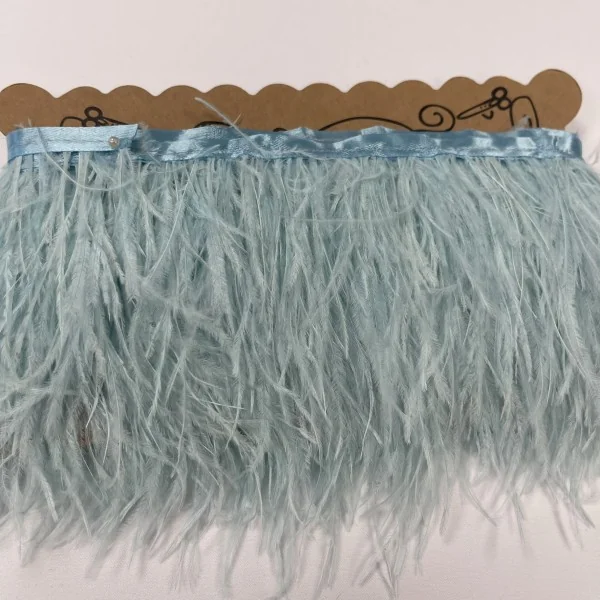 Dangaus žydra stručio plunksnų juosta 013731